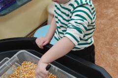 IMG_20250328_073926