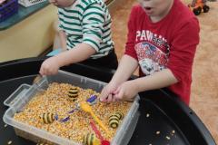 IMG_20250328_074015