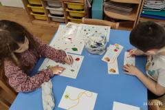 IMG_20250328_074453