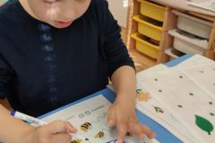IMG_20250328_080932