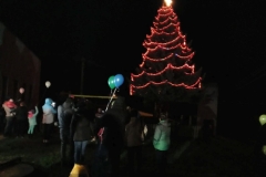 Rozsvěcení stromečku Borušov 2019