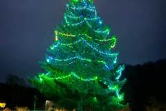 Messenger_creation_E7441F9F-71F0-401F-B56C-A36E34C6A9CF