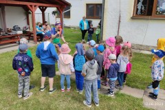 IMG_20230612_100438