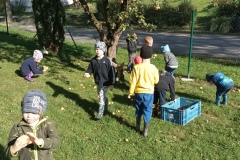 IMG_20221006_104427