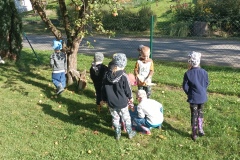 IMG_20221006_104448