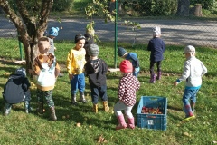 IMG_20221006_104453