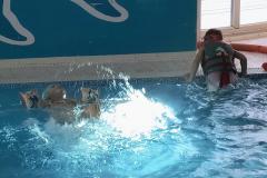 IMG_20260408_164745852_HDR_AE