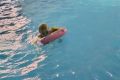 IMG_20260408_164924953_HDR_AE