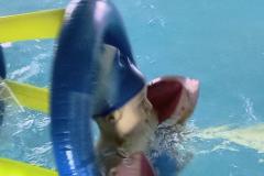 IMG_20260408_165033809_HDR_AE