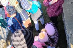 IMG_20260409_171611_1