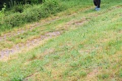 IMG_20210622_075543