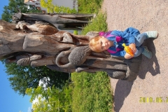 SAM_3657