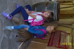 SAM_3681
