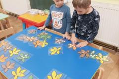 IMG_20241007_070737
