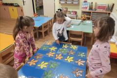 IMG_20241007_072232