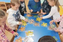IMG_20241007_074056