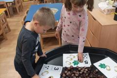 IMG_20241007_074814