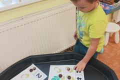 IMG_20241007_082549