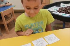 IMG_20241007_082835