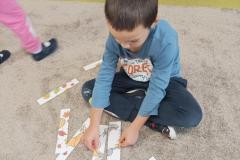 IMG_20241007_095336
