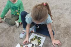 IMG_20241007_095339