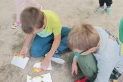 IMG_20241007_095348