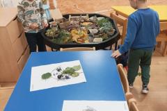 IMG_20241008_071930