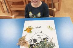IMG_20241008_081435