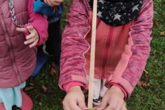 IMG_20241008_1047062