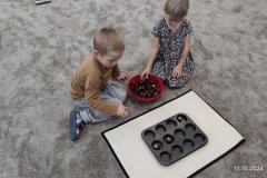 IMG_20241011_092551