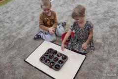 IMG_20241011_092805