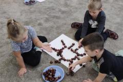 IMG_20241011_092909
