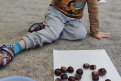 IMG_20241011_093219