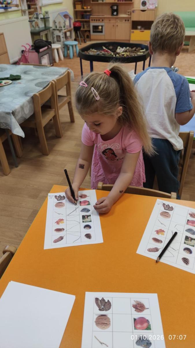 IMG_20261001_0707221