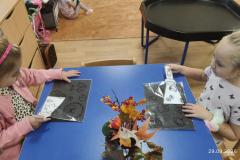 IMG_20260929_065344