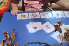 IMG_20260929_072012