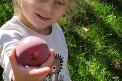 IMG_20260929_102751