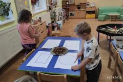 IMG_20260930_070838