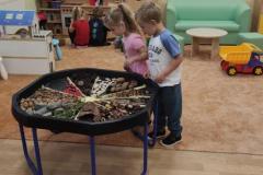 IMG_20261001_0659491