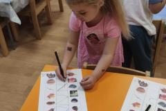 IMG_20261001_0707221