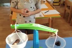 IMG_20261001_0755071
