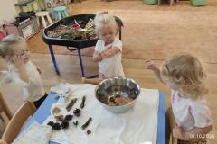 IMG_20261001_0801351