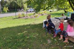 IMG_20261001_1047441