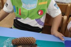 IMG_20261002_062738