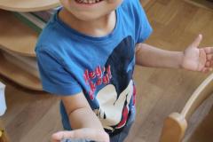 IMG_20261002_074901