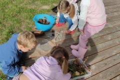 IMG_20261002_102726