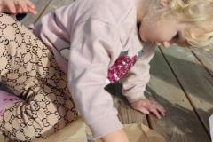 IMG_20261002_103047