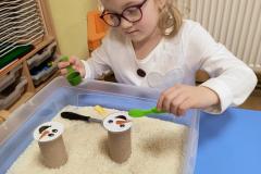 IMG_20260129_060752018_AE