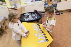 IMG_20260129_073325202_AE