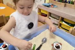 IMG_20260129_075506469_AE